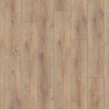 ДУБ ГОРИЗОНТ СЕРЫЙ